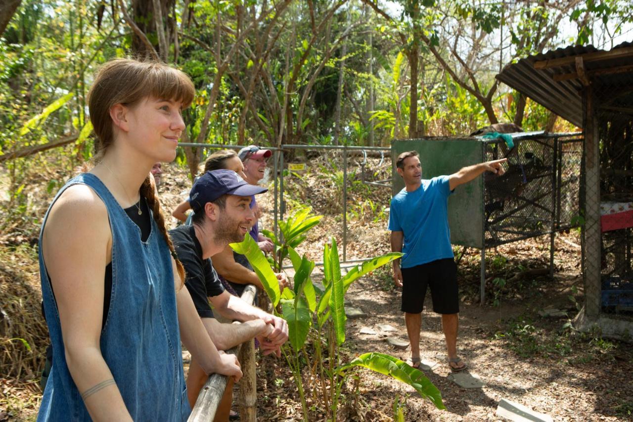 Jungle Lodge At Wild Sun Rescue Center Cabuya  المظهر الخارجي الصورة