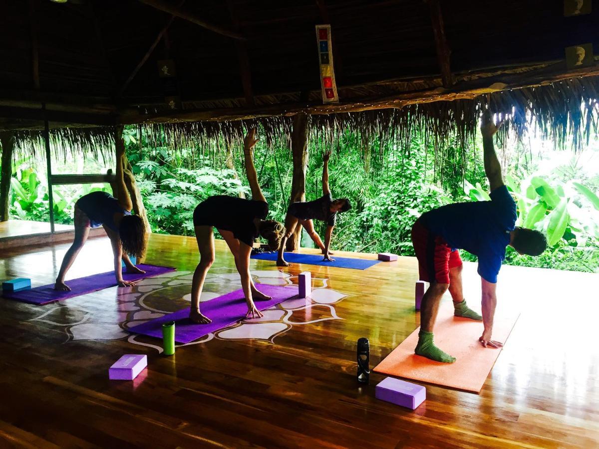 Jungle Lodge At Wild Sun Rescue Center Cabuya  المظهر الخارجي الصورة