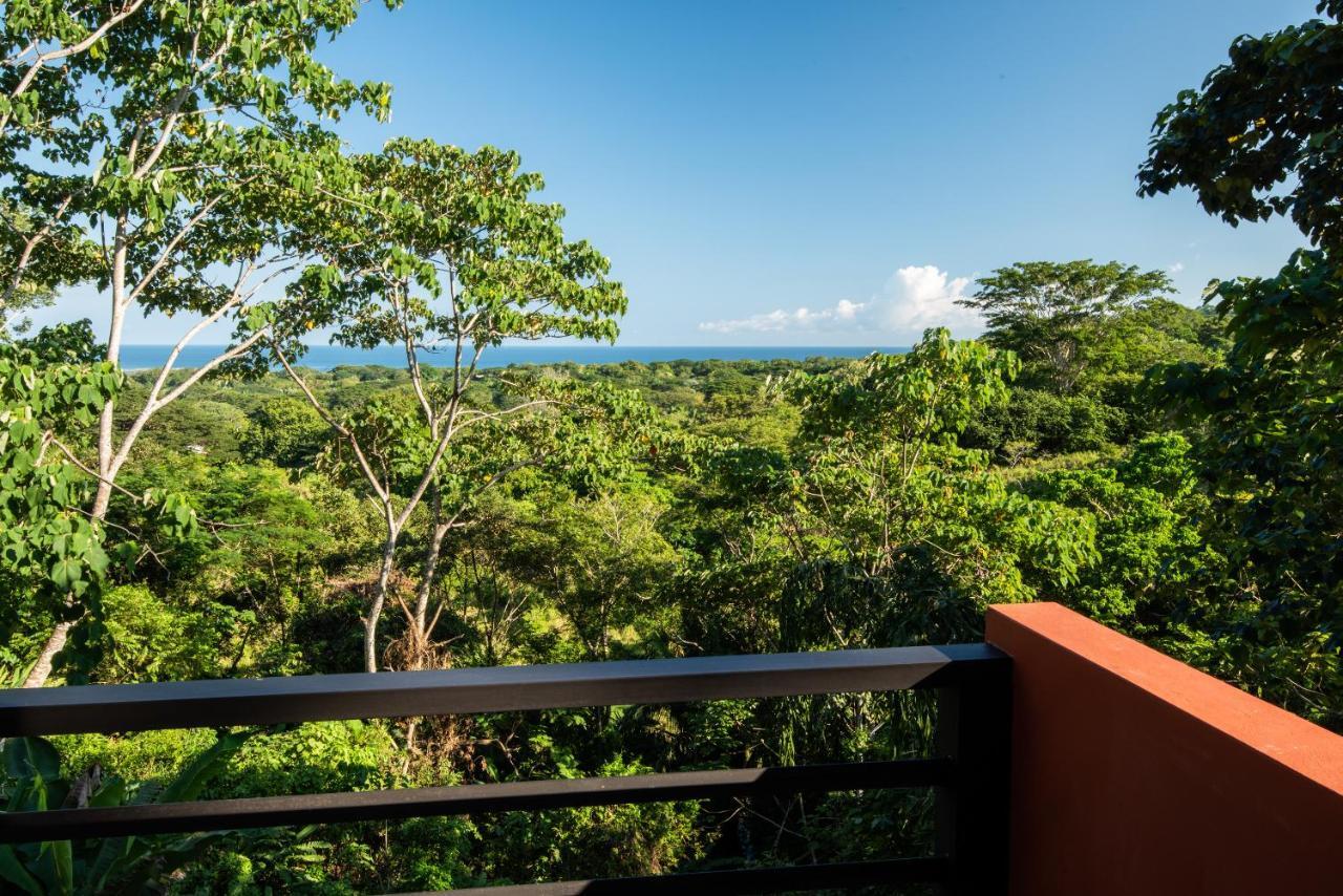 Jungle Lodge At Wild Sun Rescue Center Cabuya  المظهر الخارجي الصورة