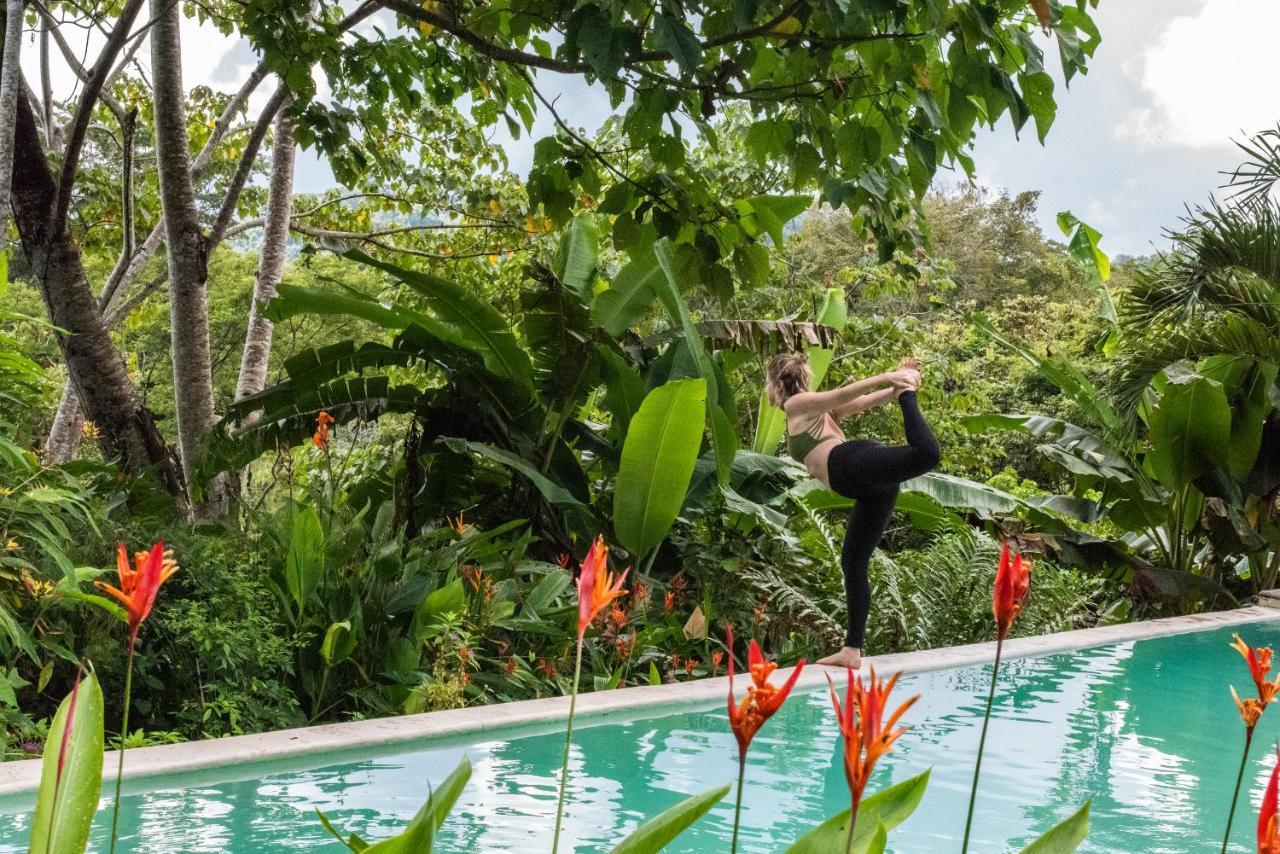 Jungle Lodge At Wild Sun Rescue Center Cabuya  المظهر الخارجي الصورة